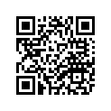 4VR-11320-11-00 Цилиндр
