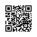4VR-11631-00-A0 Поршень