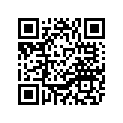 4VR-14703-04-00 Глушитель