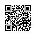 4VR-16371-00-00 Муфта Сцепления