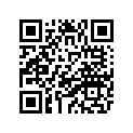 4WM-11171-00-00 NUT, HOLDING