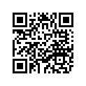 4WM-15522-00-00 Ось Металлическая