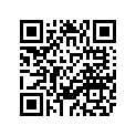 4WM-17651-00-00 Шкив