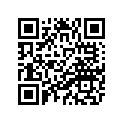 4WM-21711-00-33 Кожух Боковой