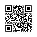 4WM-2217M-00-00 ARM 1