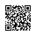 4WV-17653-00-00 SLIDER