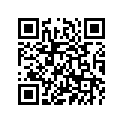 4X6-F5381-00-00