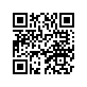 4X7-12118-00-00 Вкладыш Металлический