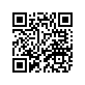4XL-14916-AE-00 . Needle (N4ae) AP