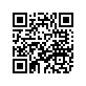 4XV-25376-00-00 Втулка Металлическая