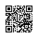 4XY-2847A-80-00 ORNAMENT 1