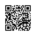 4YE-21110-10-33 FRAME