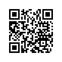 50180033 Shim 16x26x0,25