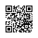 50180056 Shim 16x32x0,2