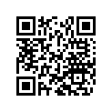 50180072 SHIM 16X28X0,30