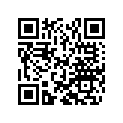 50180604 Shim 29,75x19x0,4