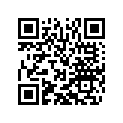 50309071177 SPOKE M4,5X177-15G 17 DDE