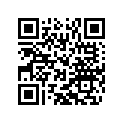 50310074207 SPOKE M5X207-10G 19 DDE