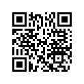 5031229 WASHER