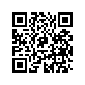 5031341 SHIM,TAPPET