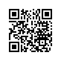 5031344 SHIM,TAPPET