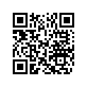 5031347 SHIM,TAPPET