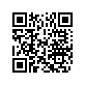 5031349 SHIM,TAPPET
