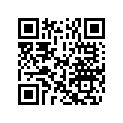 5031350 SHIM,TAPPET