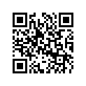 5031351 SHIM,TAPPET