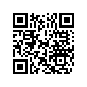 5031355 SHIM,TAPPET