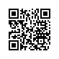 5031356 SHIM,TAPPET