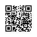 5031360 SHIM,TAPPET