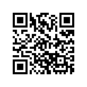 5031361 SHIM,TAPPET