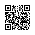 5031362 SHIM,TAPPET