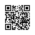 5031363 SHIM,TAPPET