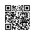 5031364 SHIM,TAPPET