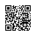 5031365 SHIM,TAPPET