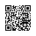5031368 SHIM,TAPPET