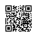 5031369 SHIM,TAPPET