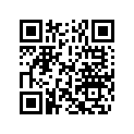 5031371 SHIM,TAPPET