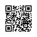 5031372 SHIM,TAPPET