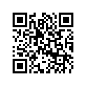 5031373 SHIM,TAPPET