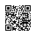 5031374 SHIM,TAPPET