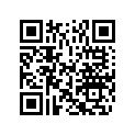 5031376 SHIM,TAPPET