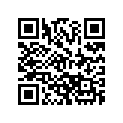 5031379 SHIM,TAPPET
