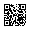 503167500 Support Amort. *support-shock
