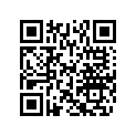 503171400 Levier *lever