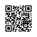 503182800 Sup.cent.amor. *supp.-shock Formula Z 58