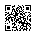 5031871 SHIM,25X40X1.0