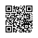 503189625 CUSHION